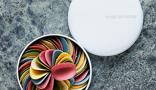 食べるのがもったいない！ショウダイビオナチュールのチョコ